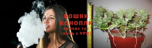 ГАЛЛЮЦИНОГЕННЫЕ ГРИБЫ Кинешма