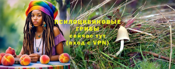 ГАЛЛЮЦИНОГЕННЫЕ ГРИБЫ Кинешма