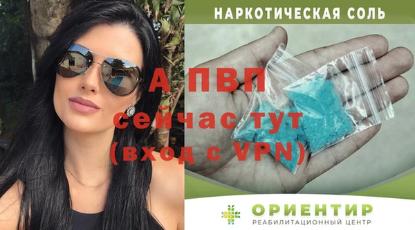 ГАЛЛЮЦИНОГЕННЫЕ ГРИБЫ Кинешма